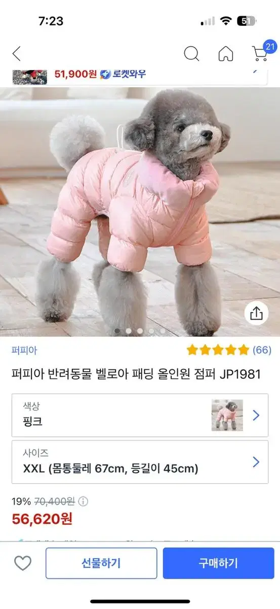 강아지패딩